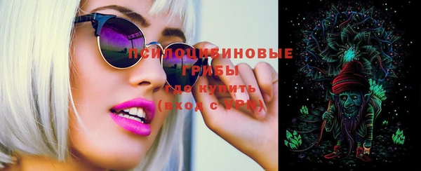 spice Магас