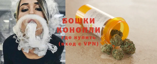 ПСИЛОЦИБИНОВЫЕ ГРИБЫ Майский
