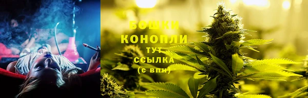 ПСИЛОЦИБИНОВЫЕ ГРИБЫ Майский