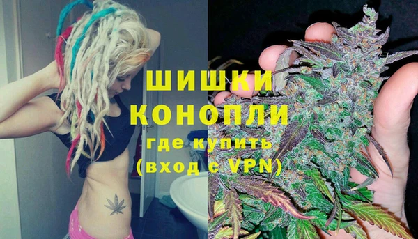 ПСИЛОЦИБИНОВЫЕ ГРИБЫ Майский