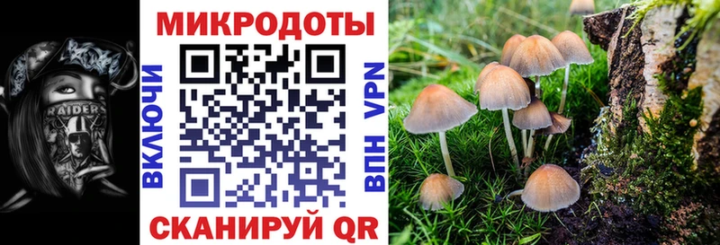 Купить где  Поронайск  Галлюциногенные грибы мухоморы 